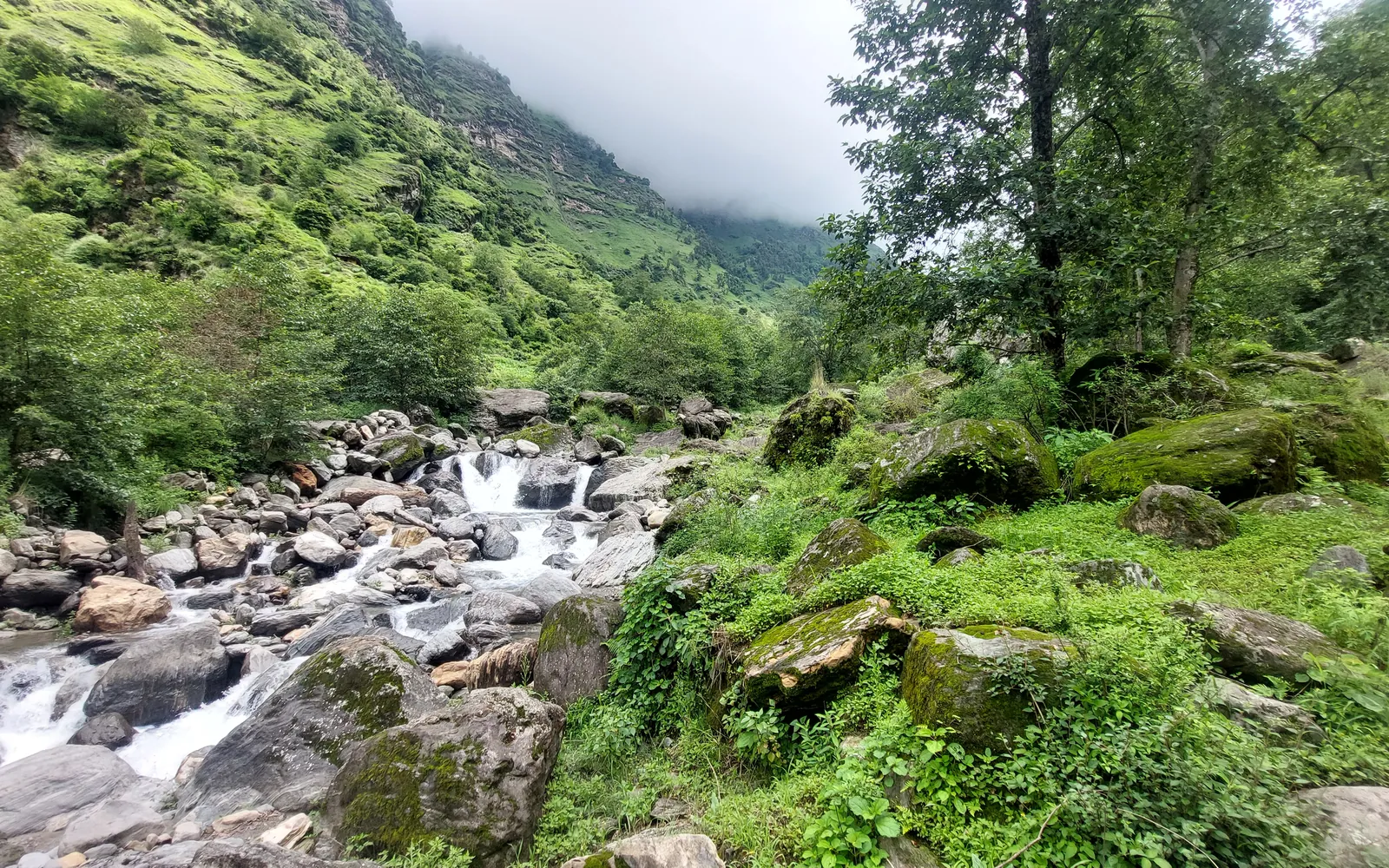 Chalban Khola tumbling over boulders below a green, forested valley wall