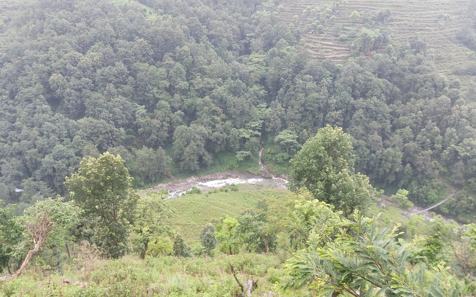 Forested hill slopes and terraced fields in the Super Lungri Khola catchment