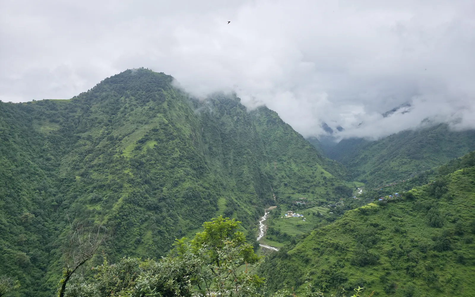 Cloud-covered green mountain valley at Upper Ghusban Khola